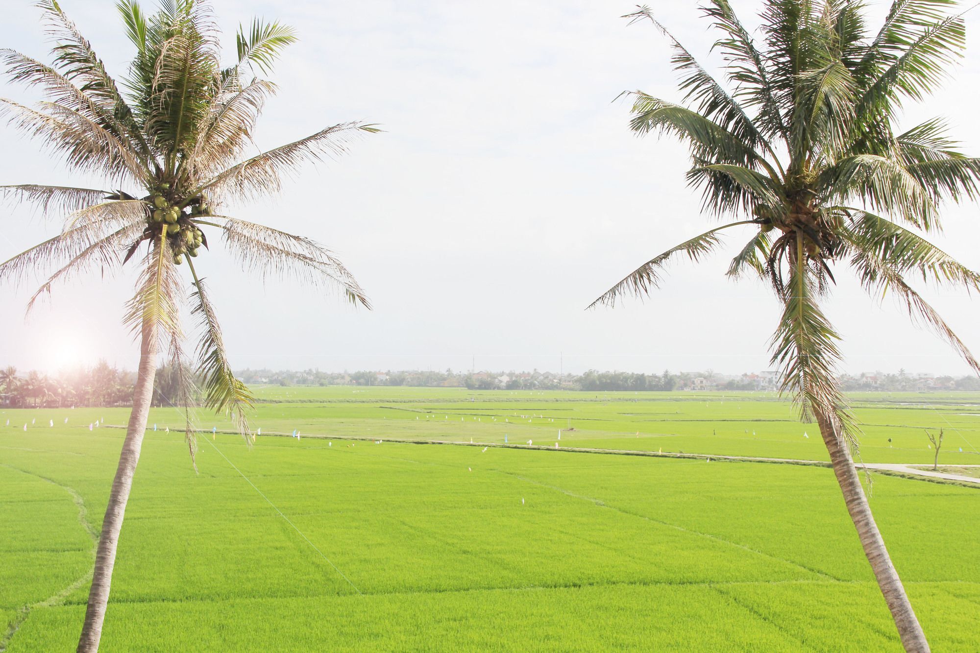 Hoi An Four Season Villa Екстер'єр фото